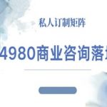 4980商业咨询师落地课程-ip运营高客单教程