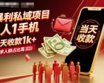 暴利私域项目1人1手机，当天收款1k+，需求人群占比高，当天就能见到钱