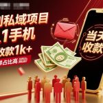暴利私域项目1人1手机，当天收款1k+，需求人群占比高，当天就能见到钱