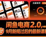 闲鱼电商2.0，9月新规过后的最新课程