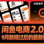 闲鱼电商2.0，9月新规过后的最新课程