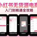 小红书无货源电商，入门到精通，开店+选品+笔记+剪辑+赛道+内容