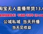 淘宝无人直播13.0，公域私域技术，不封号，不违规布局下半年旺季赛道，日入1K+（独家技术）【揭秘】