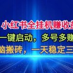 小红书全自动掘金项目，一键启动，无脑搬砖，一天稳定三位数【揭秘】