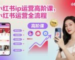 小红书ip运营高阶课，小红书运营全流程