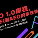 AEO 1.0 课程，从SEO到AE0的基命性转变，手把手教会你用AnswerEngineOptimization技术抢回流量（更新）