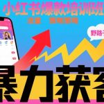 小红书爆款培训班，小红书获客野路子流量打法，暴力持续获客