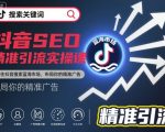 抖音SEO精准引流实操课，抓住抖音搜索蓝海市场，布局你的精准广告