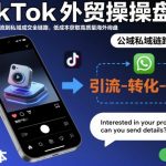 TikTok外贸操盘手，打通公域引流到私域成交全链路，低成本获取高质量海外询盘
