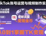 2025最新TikTok账号运营与视频制作实战全流程，从0到1掌握TK变现（含11月最新TK搬运技术）