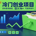 冷门创业项目，资料查询赛道，日入1k+，可矩阵操作