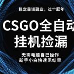 【稳定副业】全球最热门游戏CSGO全自动捡漏，最新玩法，新手小白日入5张+【揭秘】