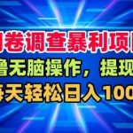 问卷调查暴利项目，0撸无脑操作，提现快，每天轻松日入100+【揭秘】