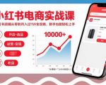 小红书电商实战课，小红书店铺从零到月入过1W全攻略，新手也能轻松上手