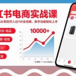 小红书电商实战课，小红书店铺从零到月入过1W全攻略，新手也能轻松上手