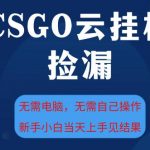 CSGO云挂G全自动捡漏，最新独家玩法，无需电脑操作，新手小白日入5张+【揭秘】