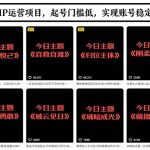 抖音IP运营项目，抖音今日主题玩法，起号门槛低，实现账号稳定增长
