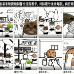 卤蛋哈基米短视频制作全流程教学，条条爆款，疯狂吸粉几十万