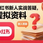 小红书新人实战答疑，小红书虚拟资料项目实战答疑