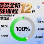 拼多多全阶实战课程12月，从新手小白到运营高手，海量实战玩法