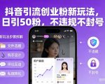 抖音引流创业粉新玩法，日引50粉，不违规不封号