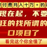 知识付费月入10个W的真相，做网创项目这一个就够了，不要再疯狂的找所谓的风口项目【揭秘】