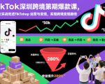 TikTok深圳跨境第2期爆款课，20天实战吃透TikTok Shop运营与变现，实现跨境变现翻倍