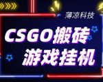 CSGO游戏挂G游戏搬砖最新升级，普通小白一部手机可日入3张+当天见结果，支持验证【揭秘】