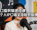 口播剪辑速成课，个人IP口播全流程剪辑课
