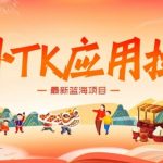 海外TK应用拉新，最新蓝海项目，早做早吃肉，月入5K美刀