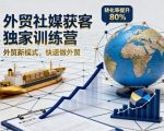 外贸社媒获客独家训练营，外贸新模式，快速做外贸（更新26年2月）