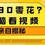 1天30零花？无脑看视频，大佬亲自揭秘