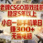 老牌CSGO游戏挂G，稳定5年以上，小白一部手机单日賺3张+，无需电脑【揭秘】