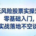 低风险股票实操营：零基础入门，实战落地不空谈