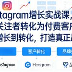 Instagram增长实战课，将关注者转化为付费客户！从增长到转化，打造真正品牌（双语字幕）