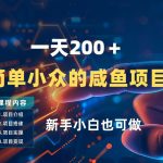 一天收入2张，一个简单小众的咸鱼项目，0门槛小白也能做