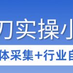 3天攻克影刀RPA：自媒体数据采集+行业自动化全流程