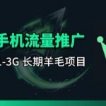 手机流量领取推广_每月一轮，刚需类的长期项目