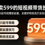 外面卖599的短视频带货投流课：从千川起号到爆款起量，全套好物投流打品实战玩法