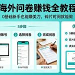 海外问卷賺钱全教程，0基础新手也能賺美刀，碎片时间就能做