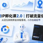 保姆级IP孵化课2.0｜打破流量信息差，从定位到拍剪全流程落地，小白也能起号