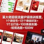 某大佬超级流量IP搞钱训练营，1个微信号+1万个微信好友+1个主打品+100条朋友圈-短视选题=100W