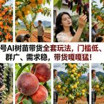 视频号AI树苗带货全套玩法，门槛低、人群广、需求稳，带货嘎嘎猛！（更新0426）