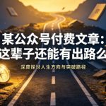 某公众号付费文章：这辈子还能有出路么
