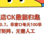 上班也能玩的酒店CK数据归集，一单0.7单窗口每天可做100单，一个人就能矩阵操作【揭秘】