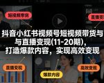 抖音小红书视频号短视频带货与直播变现(10-21期)，打造爆款内容，实现高效变现（更新05月）
