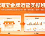 淘宝金牌运营实操班，从0开始系统解决你淘宝运营核心问题，手把手带你完成从小白到高手的蜕变