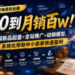 某大佬的电商创业圈从0到月销百W！拆解新品起盘+全站推广+动销模型，系统化帮助中小卖家快速盈利