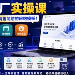 网站工厂实操课，无需客服，网站模板自动赚钱！【原创双语字幕】