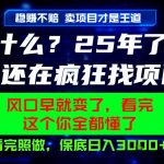 26年，请不要疯狂的找项目做了！卖项目才是真的稳賺不赔，看完照做，保底日入1k+【揭秘】